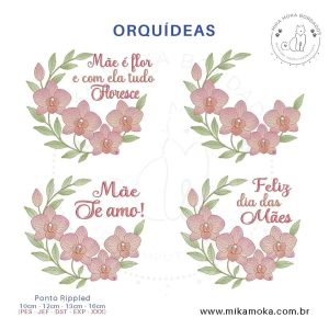Combo Orquídeas